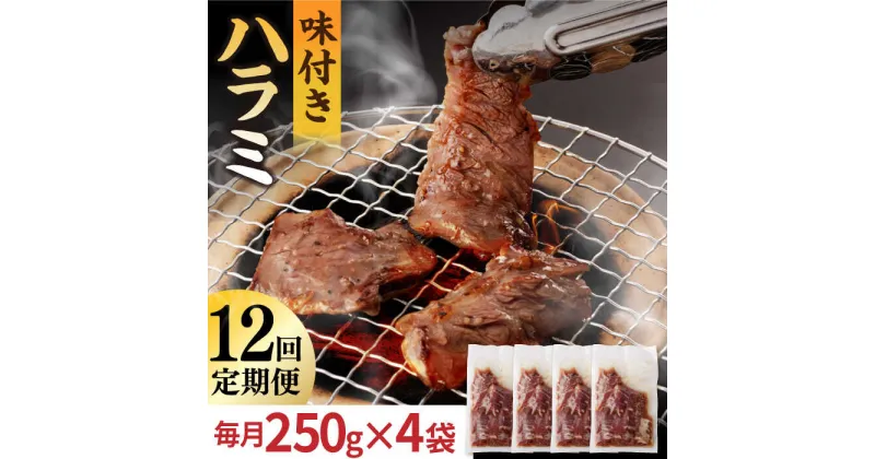 【ふるさと納税】【全12回定期便】【塩だれ】九州産 和牛 ハラミ 1kg（ 250g×4袋） 長与町/岩永ホルモン [EAX095] ハラミ はらみ 国産 焼肉 肉 国産 こくさん サガリ 小分け 味付き 冷凍 焼き肉 やきにく 九州 定期便 ていきびん