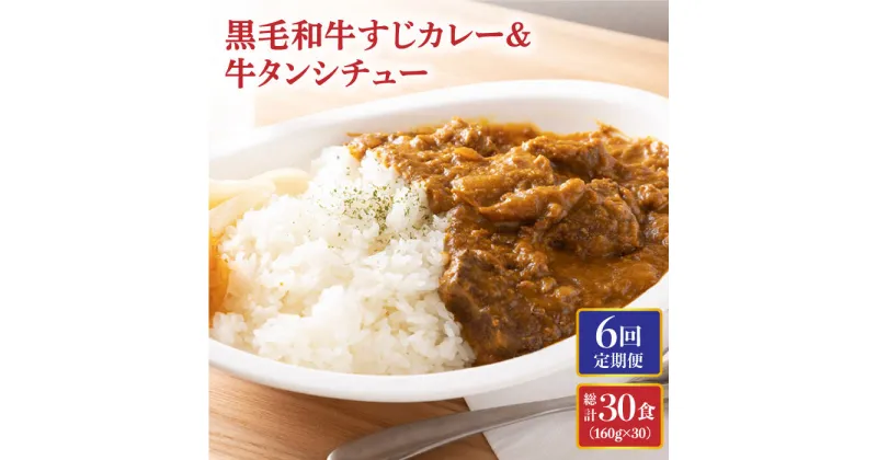 【ふるさと納税】【全6回定期便】 黒毛和牛 牛すじカレー ＆ 牛タンシチュー 毎月5食 長与町/炭火焼肉あおい [EBW004] 和牛カレー タンシチュー 常温