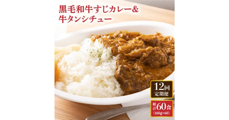 【ふるさと納税】【全12回定期便】 黒毛和牛 牛すじカレー ＆ 牛タンシチュー 毎月5食 長与町/炭火焼肉あおい [EBW005] 和牛カレー タンシチュー 常温