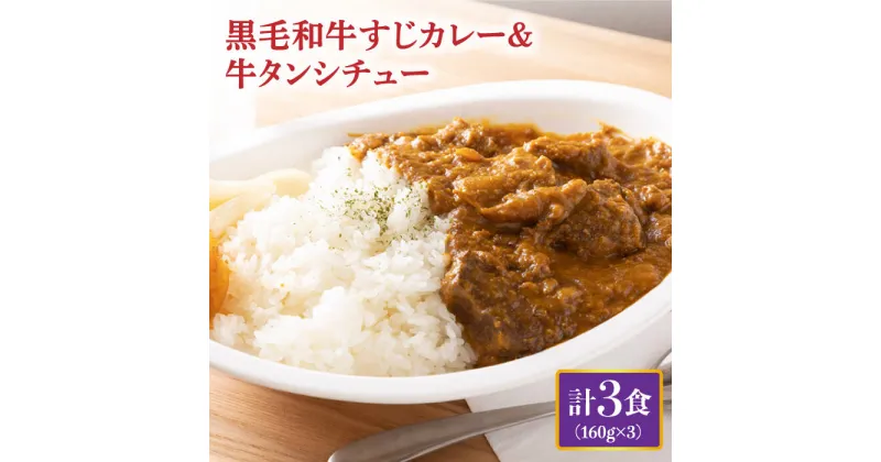 【ふるさと納税】黒毛和牛 牛すじカレー ＆ 牛タンシチュー 計3食 長与町/炭火焼肉あおい [EBW006] 和牛カレー タンシチュー 常温