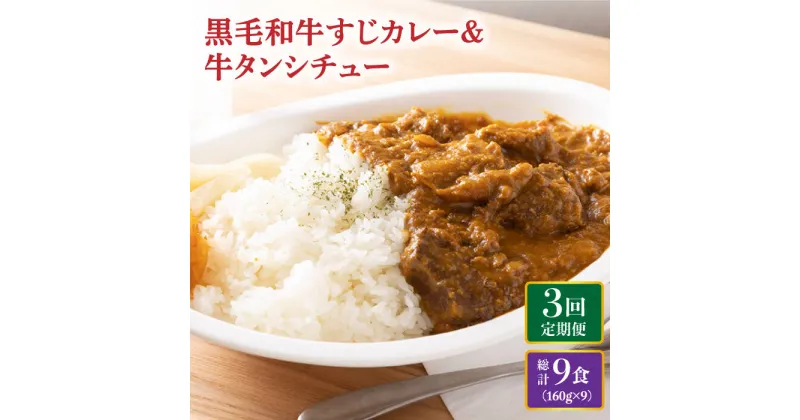 【ふるさと納税】【全3回定期便】 黒毛和牛 牛すじカレー ＆ 牛タンシチュー 毎月3食 長与町/炭火焼肉あおい [EBW007] 和牛カレー タンシチュー 常温