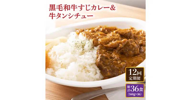 【ふるさと納税】【全12回定期便】 黒毛和牛 牛すじカレー ＆ 牛タンシチュー 毎月3食 長与町/炭火焼肉あおい [EBW009] 和牛カレー タンシチュー 常温