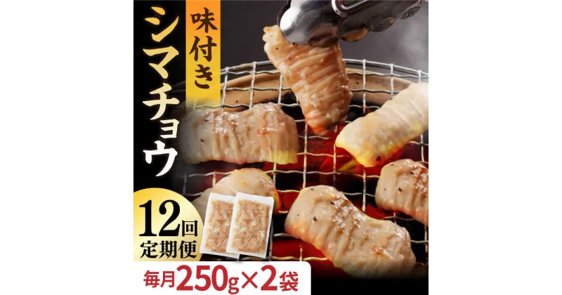 【ふるさと納税】【全12回定期便】【塩だれ】 九州産和牛 ホルモン シマチョウ 500g（250g×2袋） 長与町/岩永ホルモン [EAX103] 国産肉 ホルモン シマチョウ 小分け 味付き 冷凍 焼肉 焼き肉 和牛