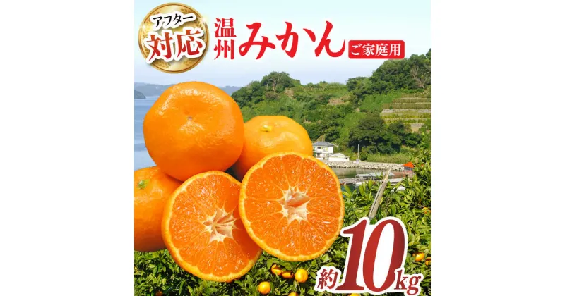 【ふるさと納税】【ご家庭用】みかん 約 10kg（100〜120個）ー2024年11月下旬より発送ー長与町/長崎西彼農業協同組合 長与支店 [EAH003] 温州みかん みかん10kg