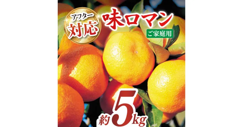 【ふるさと納税】【ご家庭用】味ロマン 約5kg（約50〜60個） ー2024年11月下旬より発送ー長与町/長崎西彼農業協同組合 長与支店 [EAH004] みかん ミカン