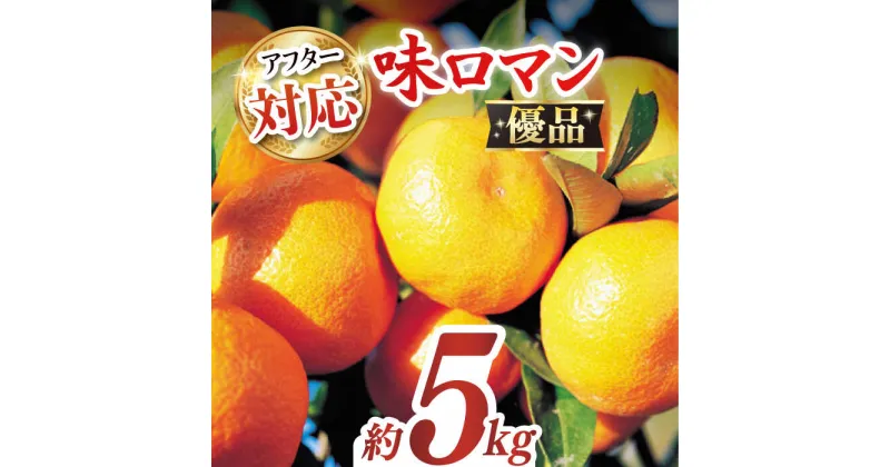 【ふるさと納税】【優品】味ロマン 約5kg （約50〜60個）ー2024年11月下旬より発送ー長与町/長崎西彼農業協同組合 長与支店 [EAH005] みかん ミカン