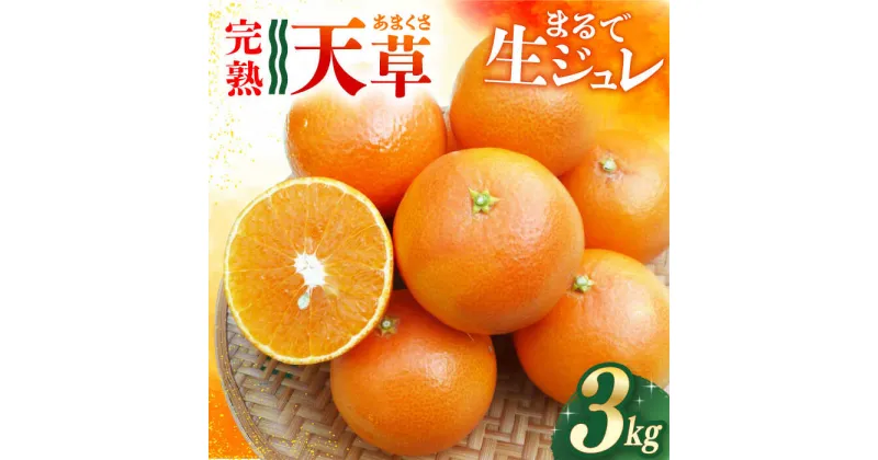 【ふるさと納税】【ご家庭用】 天草 （あまくさ） 3kg ー2025年2月より発送ー 長与町/果豊園 [ECL002] みかん ミカン 柑橘 フルーツ 果物 完熟 季節限定 家庭用 先行予約 長崎県産 長与町