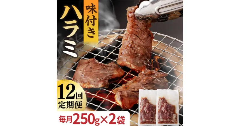 【ふるさと納税】【12回定期便】【塩だれ】九州産和牛 ハラミ 毎月250g×2袋（計6kg） 長与町/岩永ホルモン [EAX161] ハラミ はらみ 国産 焼肉 肉 国産 こくさん サガリ 小分け 味付き 冷凍 焼き肉 やきにく 九州 定期便 ていきびん