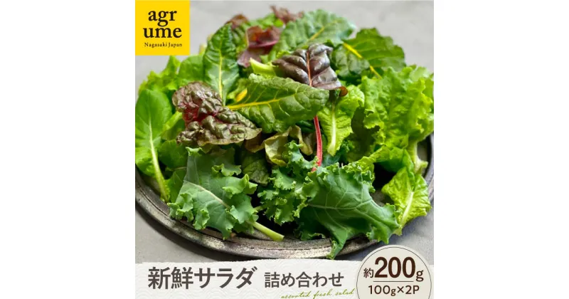 【ふるさと納税】水耕栽培 新鮮サラダ野菜の詰め合わせセット 約100g×2袋 長与町/アグリューム[EAI128] 新鮮 野菜 サラダ さらだ セット 詰め合わせ