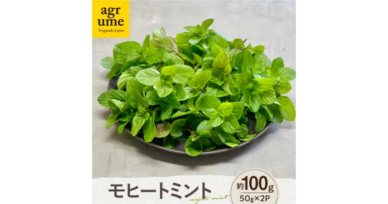 【ふるさと納税】水耕栽培 モヒートミント 約50g×2袋 長与町/アグリューム[EAI126] ミント みんと ハーブ はーぶ ハーブティー