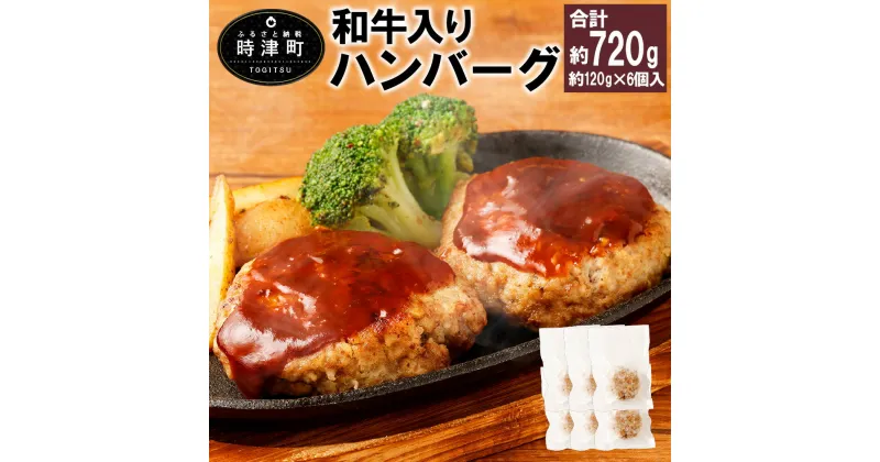 【ふるさと納税】和牛入りハンバーグ 合計720g 約120g×6個入 ハンバーグ 和牛 牛肉 肉 惣菜 おかず 九州 長崎県 冷凍 送料無料