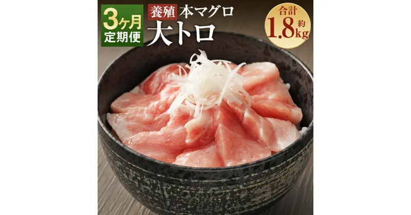 【ふるさと納税】【3ヶ月定期便】長崎県産 本マグロ「大トロ」約600g×3回お届け 合計約1.8kg【大村湾漁業協同組合】