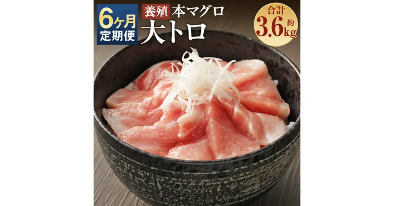 【ふるさと納税】【6ヶ月定期便】長崎県産 本マグロ「大トロ」約600g×6回お届け 合計約3.6kg【大村湾漁業協同組合】