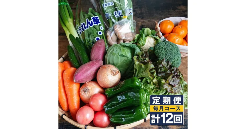 【ふるさと納税】【定期便 毎月コース】 野菜のプロ40年が届ける 厳選野菜セット！ 野菜・フルーツを15～16品目 詰め合わせ 計12回 おまかせ 新鮮 果物 長崎県産 時津町産 九州産 国産 冷蔵 クール便 送料無料