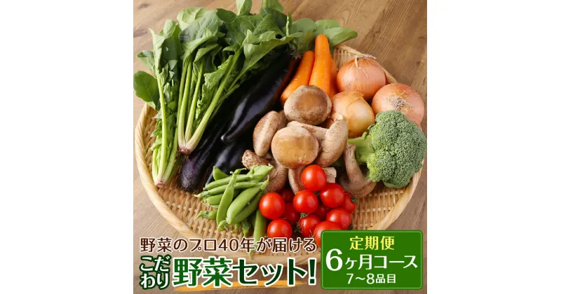 【ふるさと納税】【定期便 6ヶ月コース】野菜のプロ40年が届けるこだわり野菜セット！ 7～8品目×6回お届け 野菜 セット 詰め合わせ 毎月 6ヶ月 国産 九州産 長崎県 時津町 クール便 送料無料