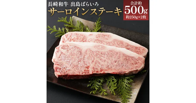 【ふるさと納税】長崎和牛 A5等級 出島ばらいろ サーロインステーキ 合計約500g 約250g×2枚 和牛 お肉 ステーキ 牛肉 長崎県産 九州産 国産 冷凍 送料無料