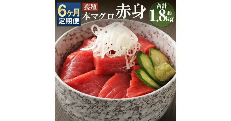 【ふるさと納税】【6ヶ月定期便】長崎県産 本マグロ 赤身 約300g×6回お届け 合計約1.8kg 2～3人前【大村湾漁業協同組合】