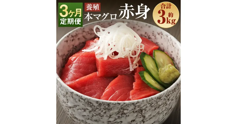 【ふるさと納税】【3ヶ月定期便】長崎県産 本マグロ 赤身 約1kg×3回お届け 合計約3kg 8～10人前【大村湾漁業協同組合】