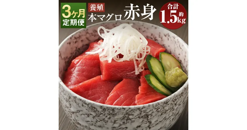 【ふるさと納税】【3ヶ月定期便】長崎県産 本マグロ 赤身 約500g×3回お届け 合計約1.5kg【大村湾漁業協同組合】