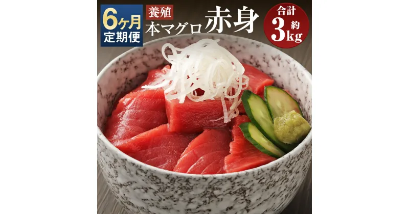 【ふるさと納税】【6ヶ月定期便】長崎県産 本マグロ 赤身 約500g×6回お届け 合計約3kg【大村湾漁業協同組合】