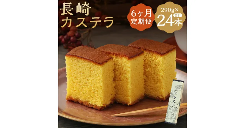 【ふるさと納税】【6ヶ月定期便】長崎カステラ糖庵 0.5号 290g×4本×6回お届け 定期便 カットなし かすてら ザラメ糖 麦芽水飴 お菓子 和菓子 スイーツ 九州 長崎県 時津町 送料無料