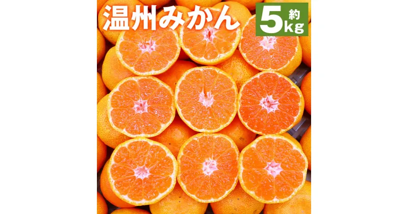 【ふるさと納税】時津町産 温州みかん 約5kg Sサイズ～2Lサイズ 柑橘 蜜柑 九州産 長崎県産 果物 フルーツ 送料無料【2024年12月上旬～2025年1月下旬に順次発送予定】