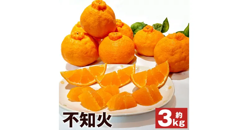 【ふるさと納税】春の柑橘 不知火 約3kg 6個～10個 秀品 柑橘 蜜柑 九州産 長崎県産 果物 フルーツ 送料無料【2025年2月下旬～3月下旬に順次発送予定】