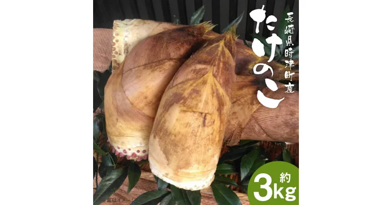 【ふるさと納税】たけのこ 約3kg ぬか・とうがらし付 採れたて 産地直送 筍 野菜 時津町産 長崎県産 九州産 送料無料【2025年3月下旬～4月下旬に順次発送予定】