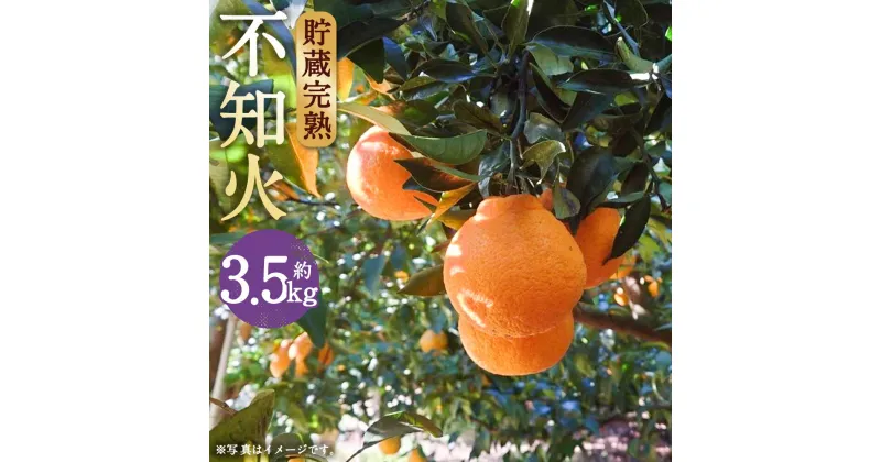 【ふるさと納税】数量限定 貯蔵 完熟不知火 約3.5kg フルーツ 蜜柑 柑橘 国産 長崎県産 九州産 デコポンと同一品種 送料無料【2025年3月上旬～4月上旬に順次発送予定】