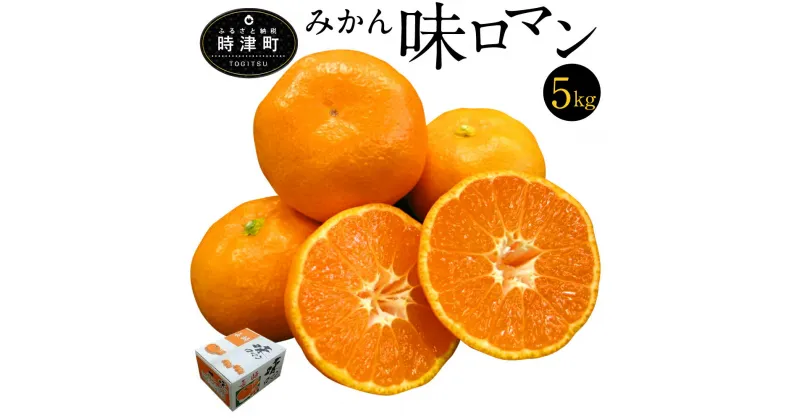 【ふるさと納税】温州みかん 味ロマン 約5kg (SまたはMサイズ) 糖度12度 みかん フルーツ 果物 蜜柑 柑橘 国産 長崎県産 九州産 送料無料【2024年12月上旬～2025年1月上旬に順次発送予定】