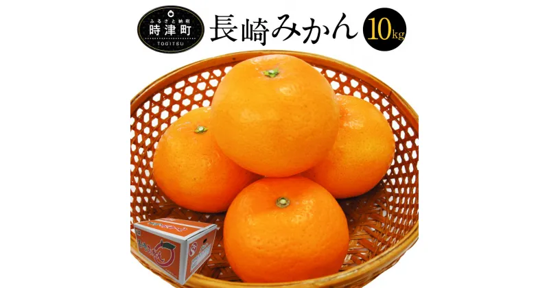 【ふるさと納税】長崎みかん 約10kg SまたはMサイズ 糖度10度 みかん フルーツ 果物 蜜柑 柑橘 国産 長崎県産 九州産 送料無料【2024年12月上旬～2025年1月上旬に順次発送予定】