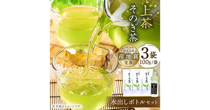 【ふるさと納税】[指定生産農家のかぶせ茶] そのぎ茶 (上茶) 100g×3袋入り ＆ フィルターインボトル (300ml) セット 水出し 茶 お茶 日本茶 茶葉 東彼杵町/池田茶園 [BAL003]