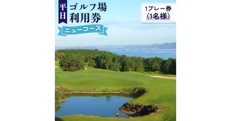 【ふるさと納税】「ゴルフ場利用券（平日）」大村湾カントリー倶楽部（ニューコース）BBA001/ゴルフ場 利用券 ゴルフ ゴルフプレー券 チケット 体験チケット ゴルフ ごるふ ゴルフ場 施設利用券