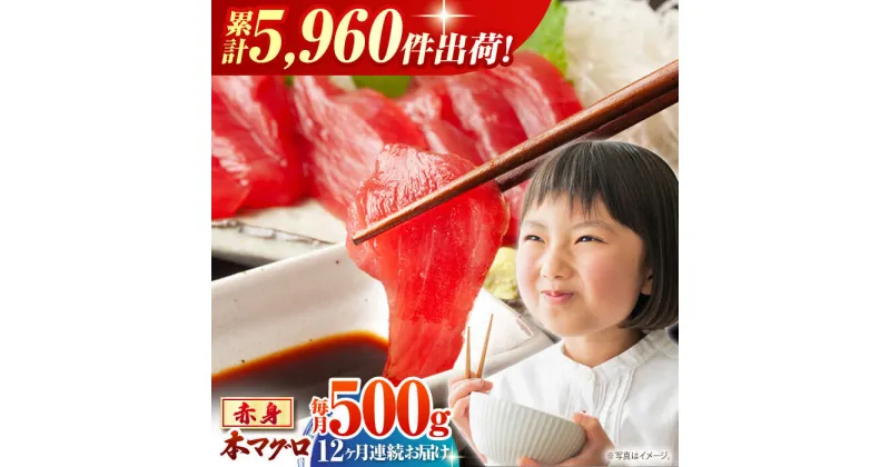 【ふるさと納税】【全12回定期便(月1回)】長崎県産 本マグロ 赤身 500g まぐろ 鮪 さしみ 刺身 刺し身 冷凍 東彼杵町/大村湾漁業協同組合 [BAK024]