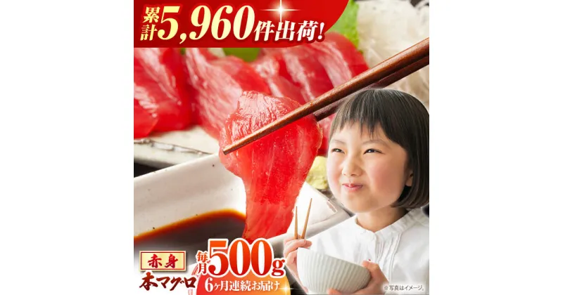 【ふるさと納税】【全6回定期便(月1回)】長崎県産 本マグロ 赤身 500g まぐろ 鮪 さしみ 刺身 刺し身 冷凍 東彼杵町/大村湾漁業協同組合 [BAK023]