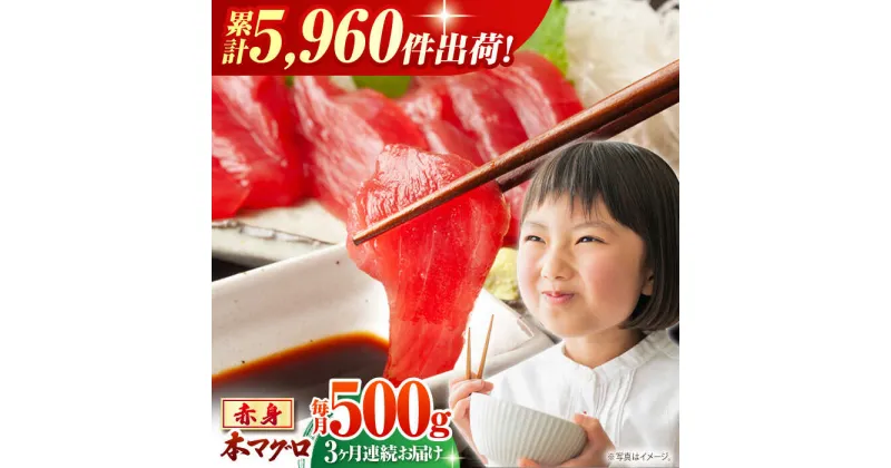 【ふるさと納税】【全3回定期便(月1回)】長崎県産 本マグロ 赤身 約500g まぐろ 鮪 さしみ 刺身 刺し身 冷凍 東彼杵町/大村湾漁業協同組合 [BAK022]