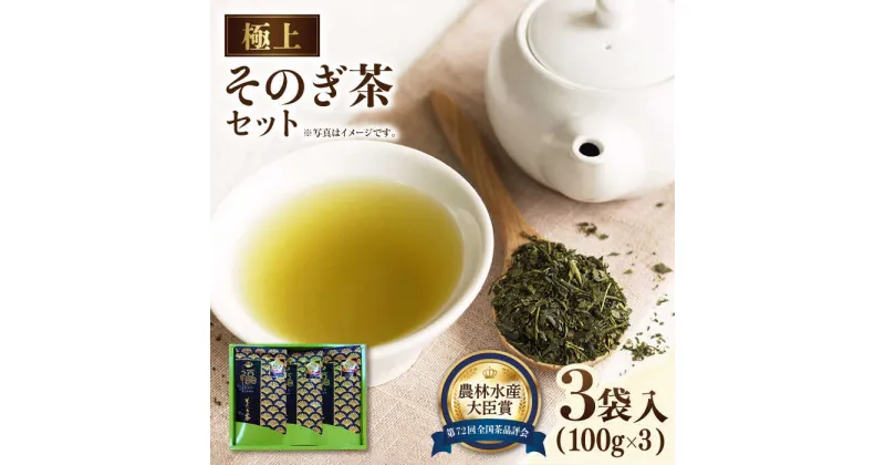 【ふるさと納税】【TVで紹介！】そのぎ茶 (極上) 100g×3袋入り 茶 お茶 日本茶 茶葉 東彼杵町/ふくだ園 [BBC002]