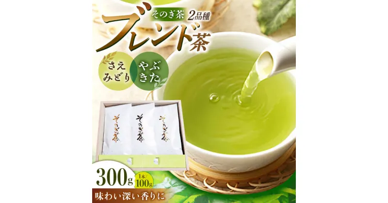 【ふるさと納税】そのぎ茶 100g×3袋入り 茶 お茶 緑茶 日本茶 茶葉 東彼杵町/勝野製茶 [BCJ001]