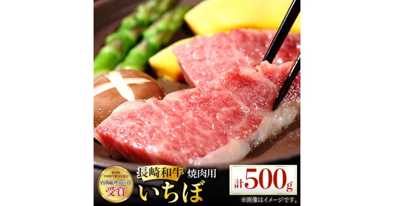 【ふるさと納税】長崎和牛 焼肉用 いちぼ 500g 希少部位 肉 お肉 牛肉 赤身 和牛 焼肉 BBQ 東彼杵町/黒牛 [BBU027]