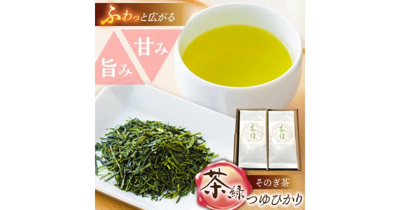 【ふるさと納税】そのぎ茶《茶縁》「つゆひかり」100g×2袋入り 茶 お茶 緑茶 日本茶 茶葉 東彼杵町/東坂こくまる商店 [BCL002]