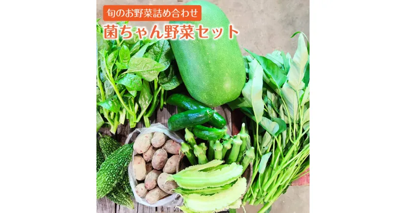 【ふるさと納税】【旬の野菜を詰合せ】微生物が育てる 菌ちゃん野菜セット 野菜セット 野菜 やさい やさいせっと [BCV001]