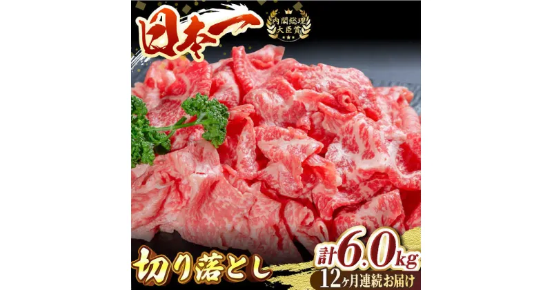 【ふるさと納税】【全12回定期便】長崎和牛切り落し 計6.0kg（約500g×12回）牛肉 和牛 切り落とし すき焼き しゃぶしゃぶ 500g 定期便 東彼杵町/有限会社大川ストアー [BAJ033]