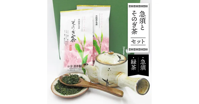 【ふるさと納税】急須とそのぎ茶セット (急須×1・緑茶 100g×2) 茶 お茶 緑茶 日本茶 茶葉 東彼杵町/常明窯 [BCX003]