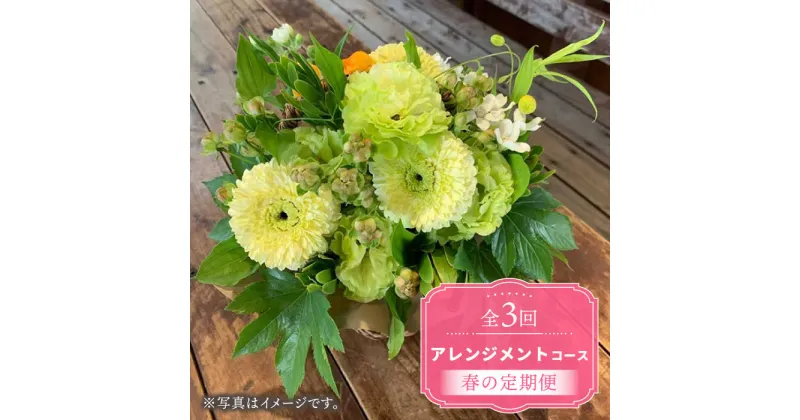 【ふるさと納税】【木造駅舎にあるお花屋さん】（3回定期便）春の定期便 アレンジメントコース【ミドリブ】/花 生花 インテリア 雑貨 ギフト 贈答 [BBR016]