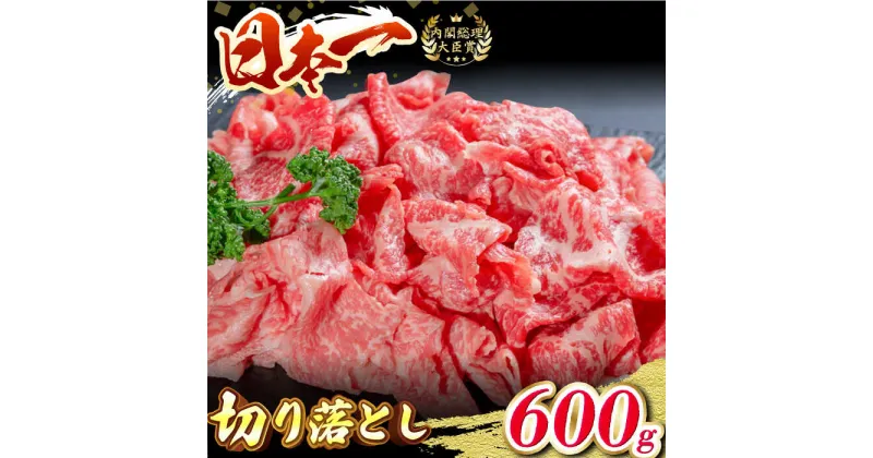 【ふるさと納税】長崎和牛 切り落とし 600g 和牛 牛肉 赤身 すき焼き 霜降り 切り落とし すき焼き しゃぶしゃぶ 切り落とし 東彼杵町/有限会社大川ストアー [BAJ046]