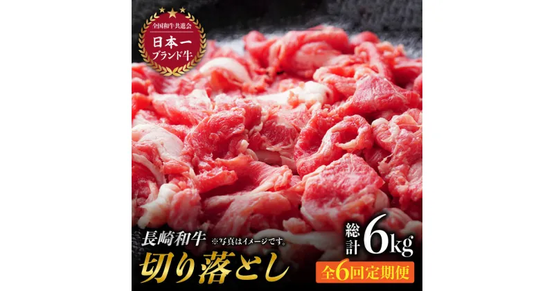 【ふるさと納税】【6回定期便】最高級和牛切り落とし (500g×2) 計6kg 和牛 牛肉 赤身 すき焼き しゃぶしゃぶ 霜降り 切り落とし 切落し 小分け 東彼杵町/有限会社大川ストアー [BAJ049]