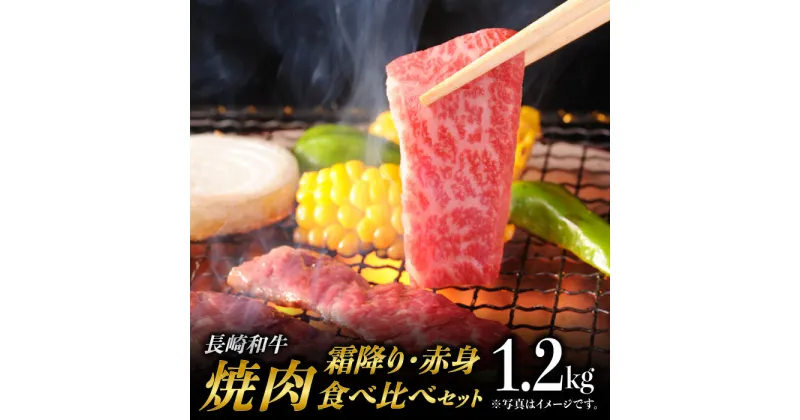 【ふるさと納税】長崎和牛 焼肉 食べ比べ セット (霜降り・赤身 / 各600g) 計1.2kg 赤身 焼き肉 [BAJ092]