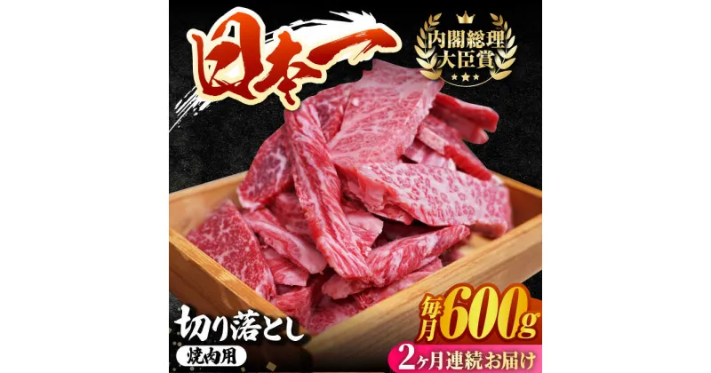 【ふるさと納税】【2回定期便】 長崎和牛 切り落とし（焼肉用）600g 赤身 霜降り 部位ミックス BBQ やきにく うまい ジューシー 東彼杵町/有限会社大川ストアー [BAJ108]