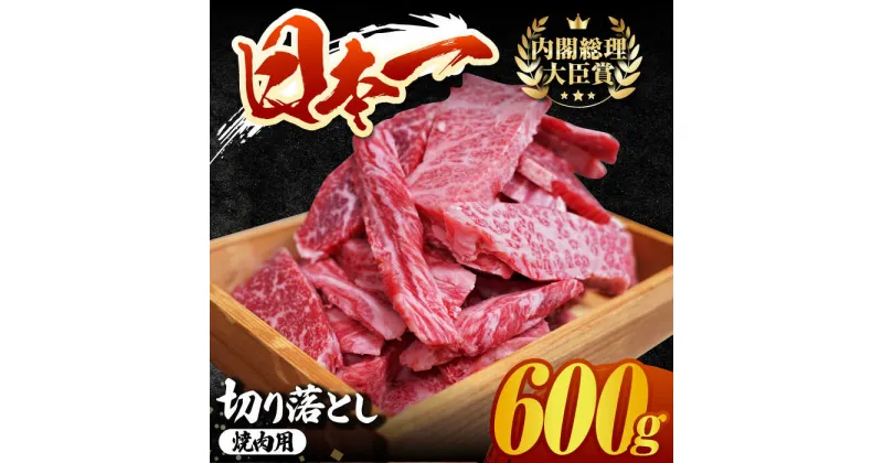 【ふるさと納税】長崎和牛 切り落とし（焼肉用）600g 赤身 霜降り 部位ミックス BBQ やきにく うまい ジューシー 東彼杵町/有限会社大川ストアー [BAJ107]