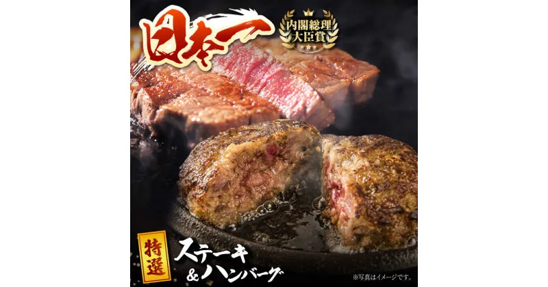 【ふるさと納税】長崎和牛 特選ステーキ（120g×2枚）＆ハンバーグ（80g×4個）はんばーぐ 特製 簡単調理 赤身 ステーキ 霜降り ステーキ 東彼杵町/有限会社大川ストアー [BAJ114]